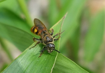 DSC04495a
